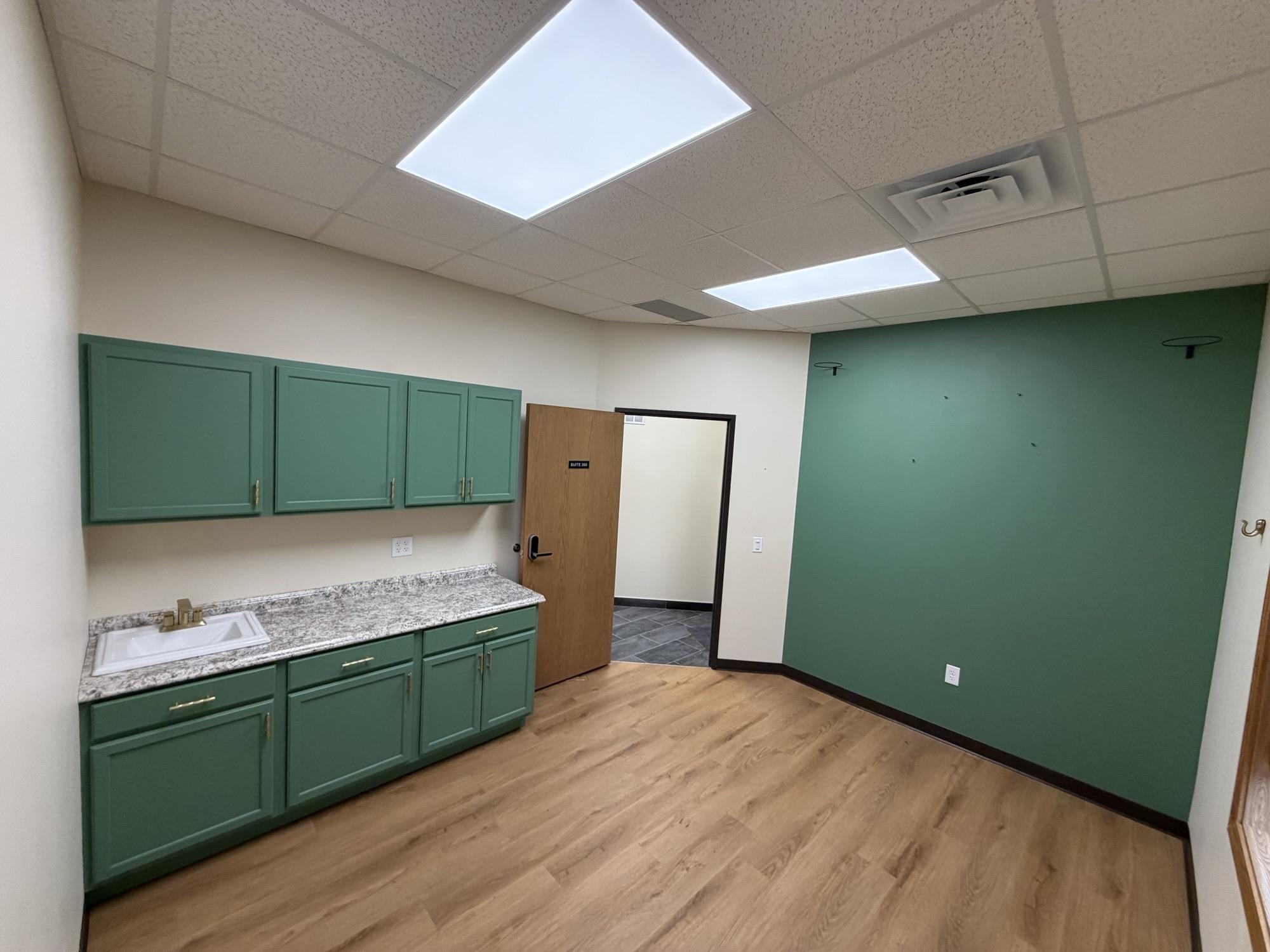 Suite 350 — vacant 151 sq ft suite with green accent wall, built-in green cabinetry, granite countertop with porcelain sink, doorway to the hallway, and wood-look flooring